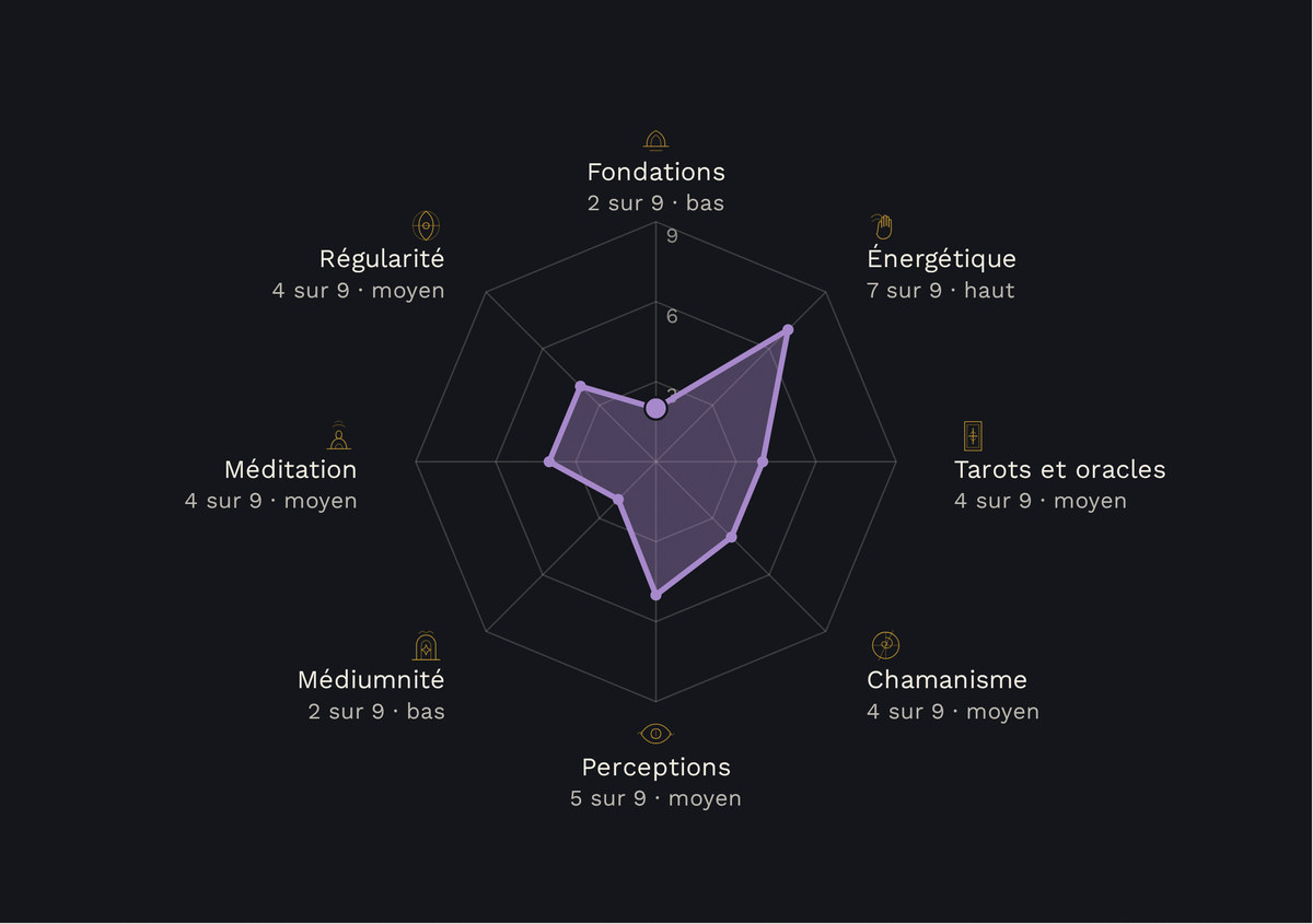 La toile des huit axes du bilan de démonstration